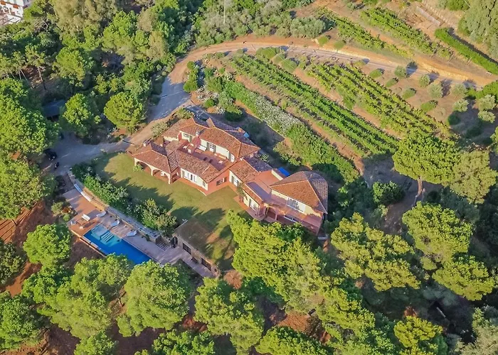 Punta Morcone Вилла Casa Morcone