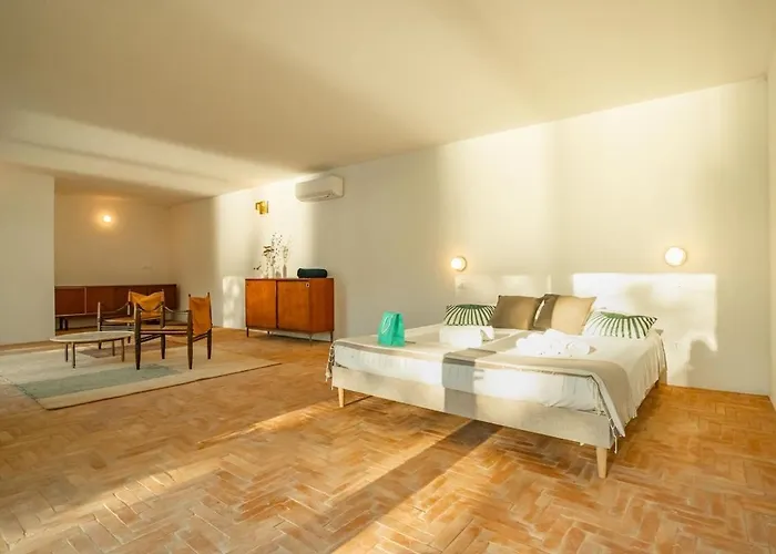 Punta Morcone فيلة